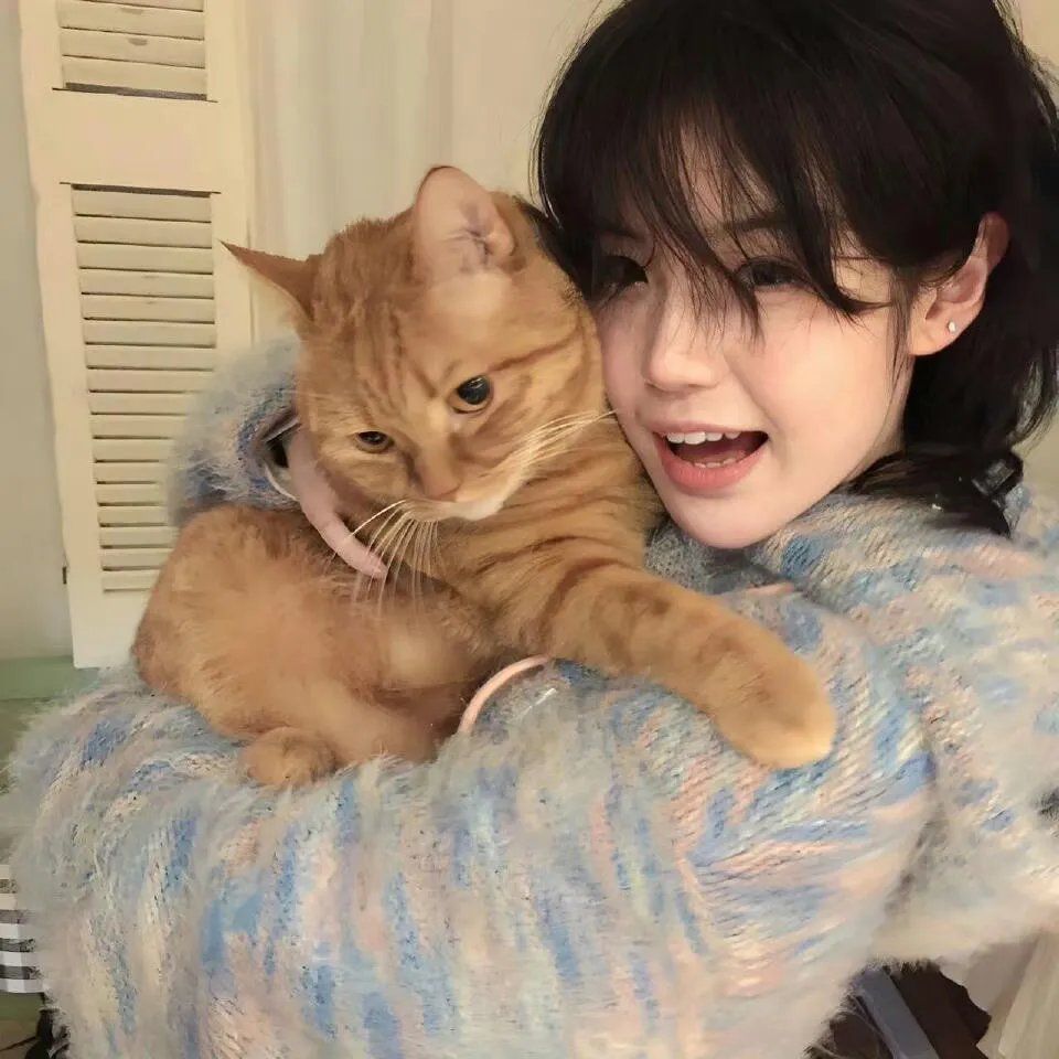 鞋猫剑客海报